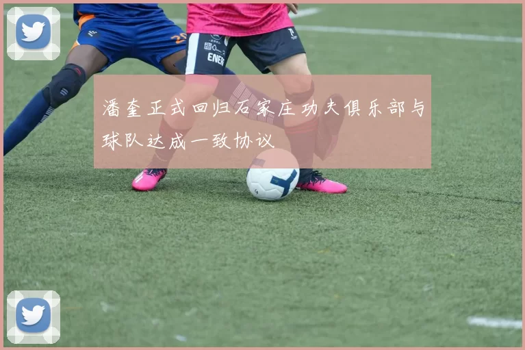 潘奎正式回归石家庄功夫俱乐部与球队达成一致协议